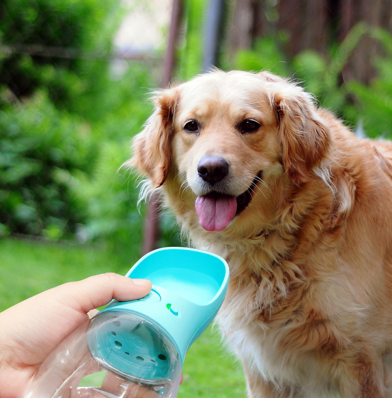 Pet Drinking Bottle