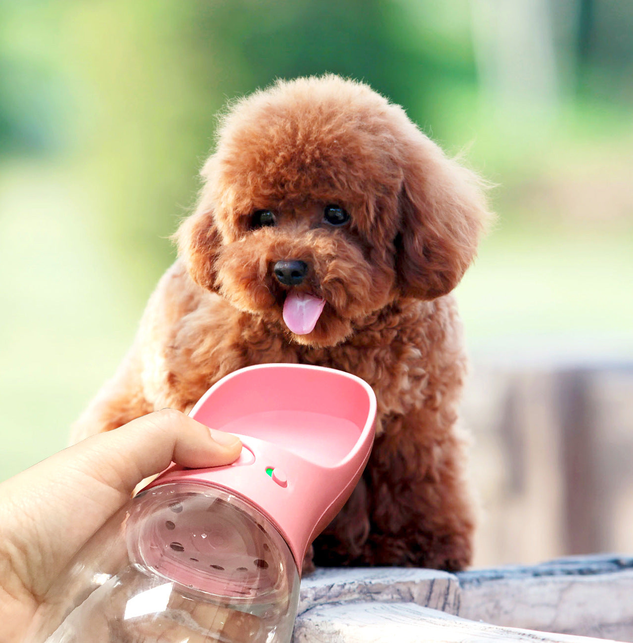 Pet Drinking Bottle